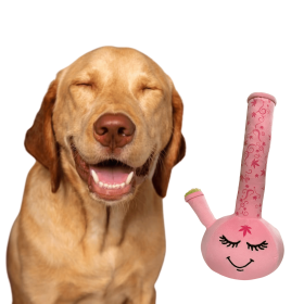 My Name is Harmony Bong, Funny Squeaky Weed Dog Toy, Cute Stuffed Parody Pot Bong, Cool Plush 420 Novelty Gift for Pets, Sized for Puppies & Small