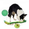 PawPartner Dog Ball Toy Squeaky Giggle Interactive Puppy Ball For Aggressive Chewers Indestructible Chew Toys For Small/Medium